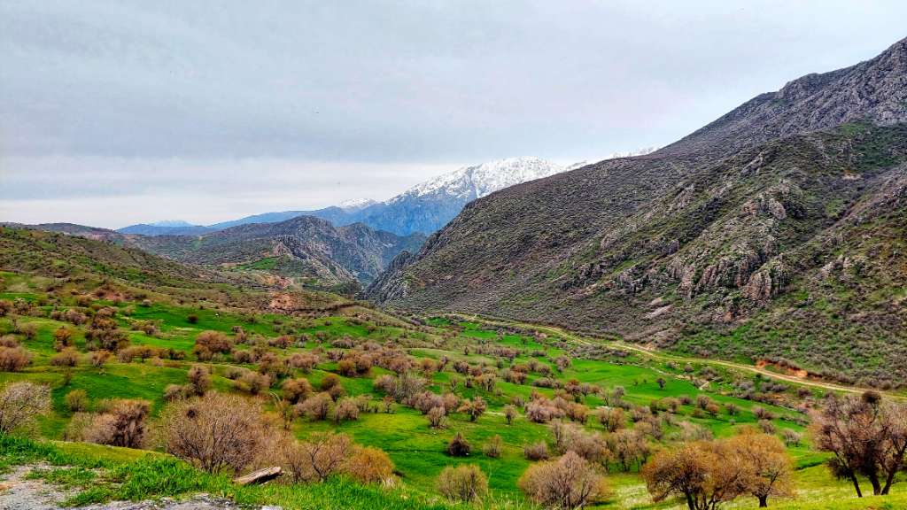 یه جرعه آرامش از دل کردستان